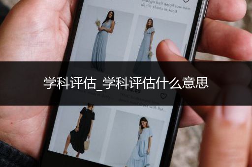 学科评估_学科评估什么意思